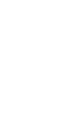 shapes